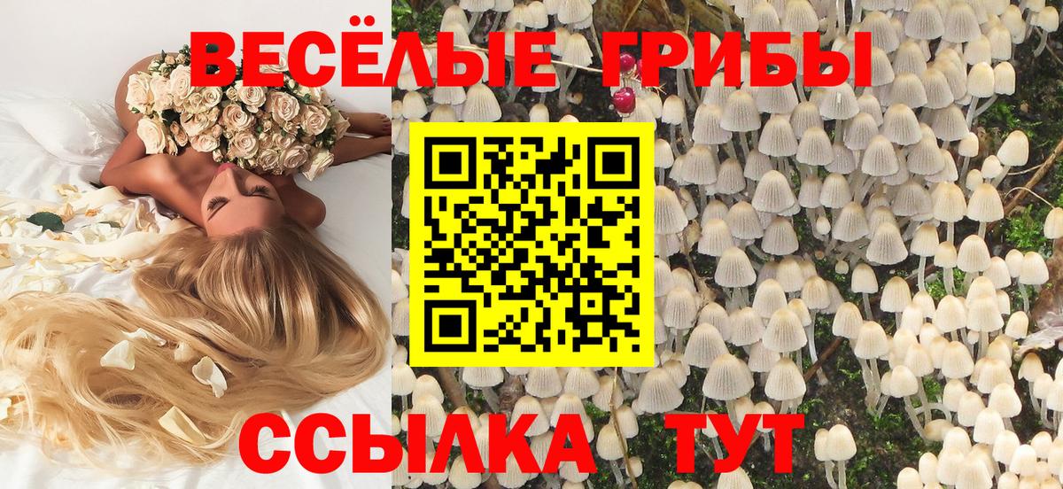 Галлюциногенные грибы мицелий Дятьково